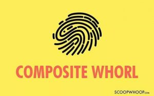 composite-whorl